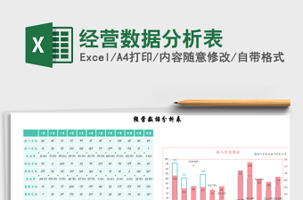 2025年经营数据分析表