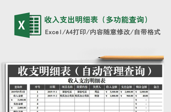 2025年收入支出明细表（多功能查询）