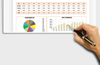 2025年年度营收分析表