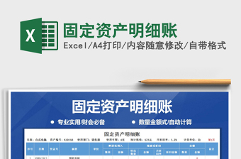 2025年固定资产明细账