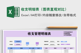 2025年收支明细表（图表直观对比）
