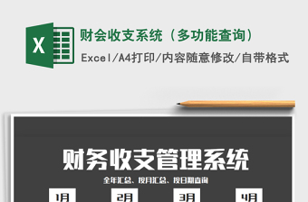 2025年财会收支系统（多功能查询）