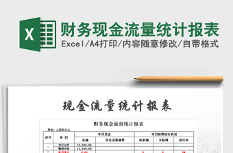 2025年财务现金流量统计报表