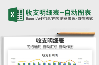 2025年收支明细表-自动图表