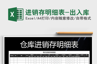 2025年进销存明细表-出入库