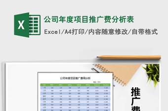 2025年公司年度项目推广费分析表
