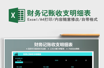 2025年财务记账收支明细表