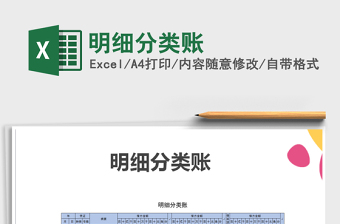 2025年明细分类账