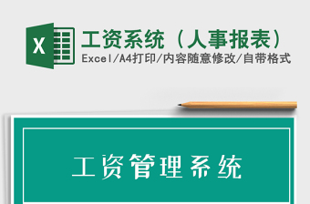 2025年工资系统（人事报表）