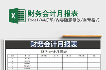 2025年财务会计月报表