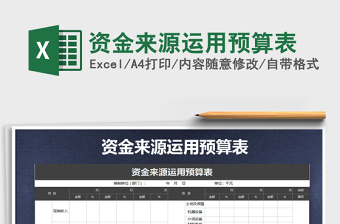 2025年资金来源运用预算表免费下载