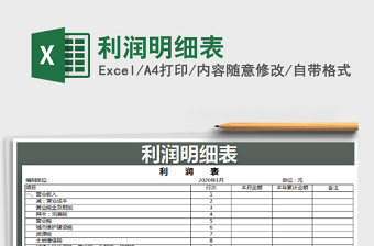 2025年利润明细表