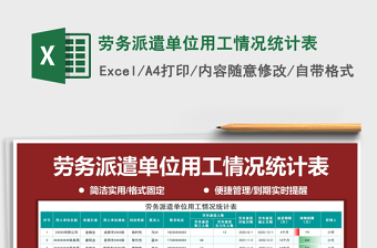 2025年劳务派遣单位用工情况统计表
