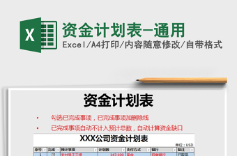 2025年资金计划表-通用