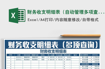 2025年财务收支明细表（自动管理多项查询）