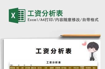 2025年工资分析表