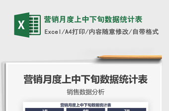2025年营销月度上中下旬数据统计表