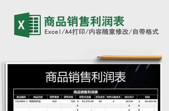2025年商品销售利润表