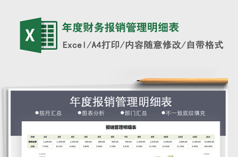 2025年年度财务报销管理明细表