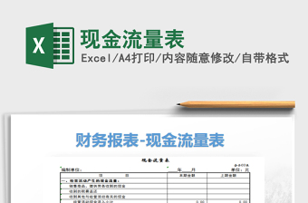 2025年现金流量表