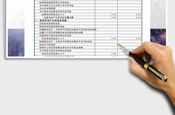 2025年现金流量表