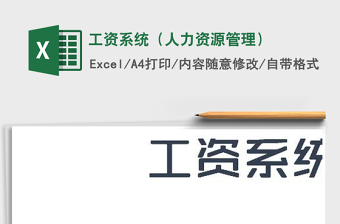 2025年工资系统（人力资源管理）