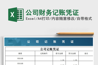 2025年公司财务记账凭证