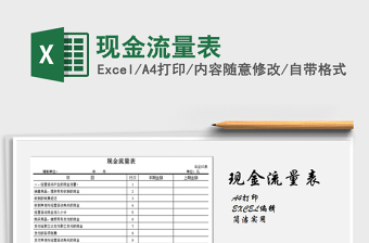 2025年现金流量表