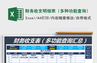 2025年财务收支明细表（多种功能查询）