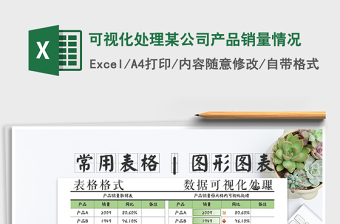 2025年可视化处理某公司产品销量情况免费下载