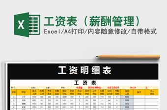 2025年工资表（薪酬管理）