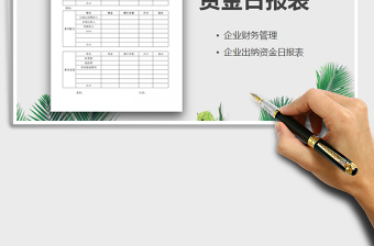 2025年资金日报表免费下载