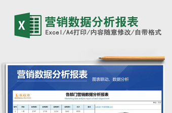 2025年营销数据分析报表