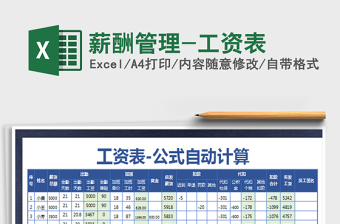 2025年薪酬管理-工资表