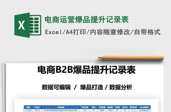 2025年电商运营爆品提升记录表