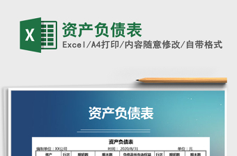 2025年资产负债表