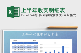 2025年上半年收支明细表免费下载