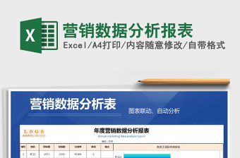 2025年营销数据分析报表