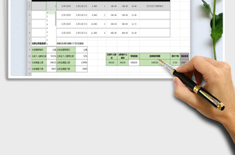2025年薪酬设计模版（可算税后）