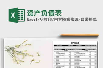 资产负债表损益表