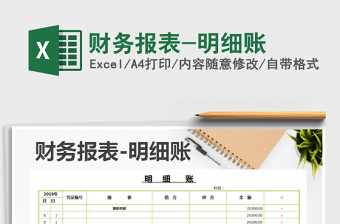 2025年财务报表-明细账