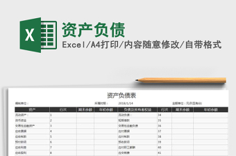 2025年资产负债免费下载