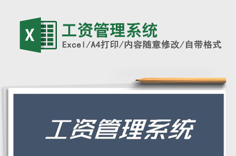 2025年工资管理系统