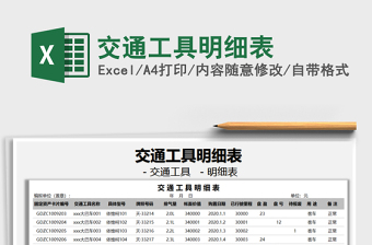 2025年交通工具明细表