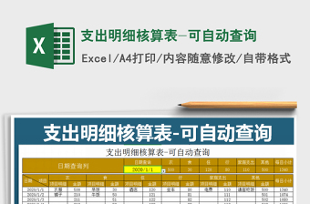 2025年支出明细核算表-可自动查询