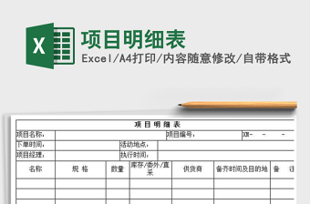 2025年项目明细表