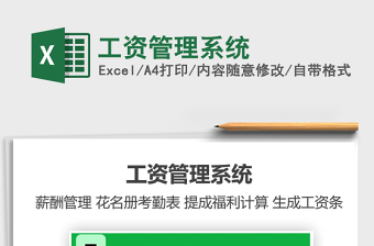 2025年工资管理系统