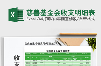 2025年慈善基金会收支明细表