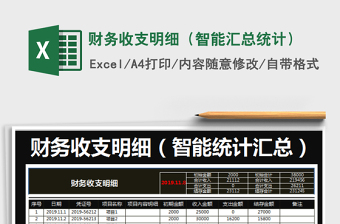 2025年财务收支明细（智能汇总统计）