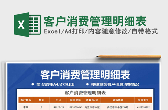 2025年客户消费管理明细表